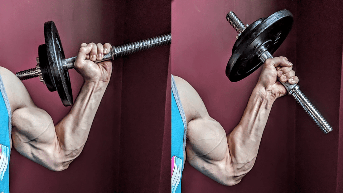 hand grip