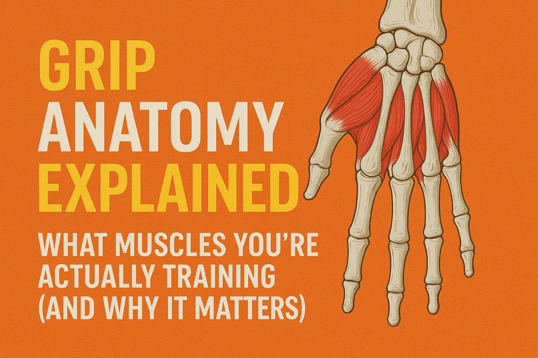 Grip Anatomy